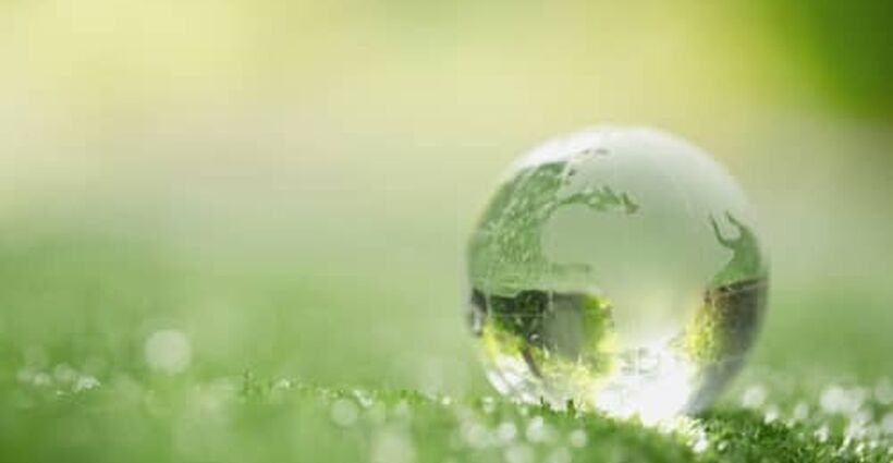 11 Benefits of Sustainability in the Workplace 11 Benefits of Sustainability in the Workplace