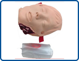 Casualty Simulation