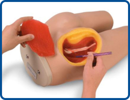 Medical Simulators