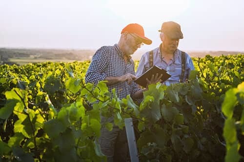 Farmers selling crops HSI Farmers selling crops HSI