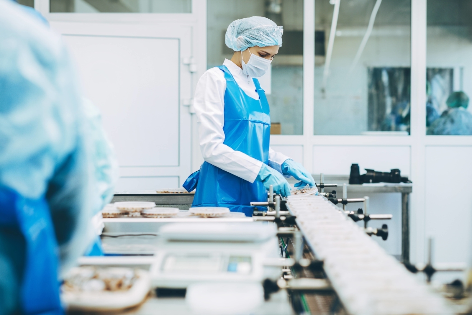 Food Industry Food Industry