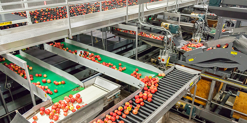 food processing manufacturing