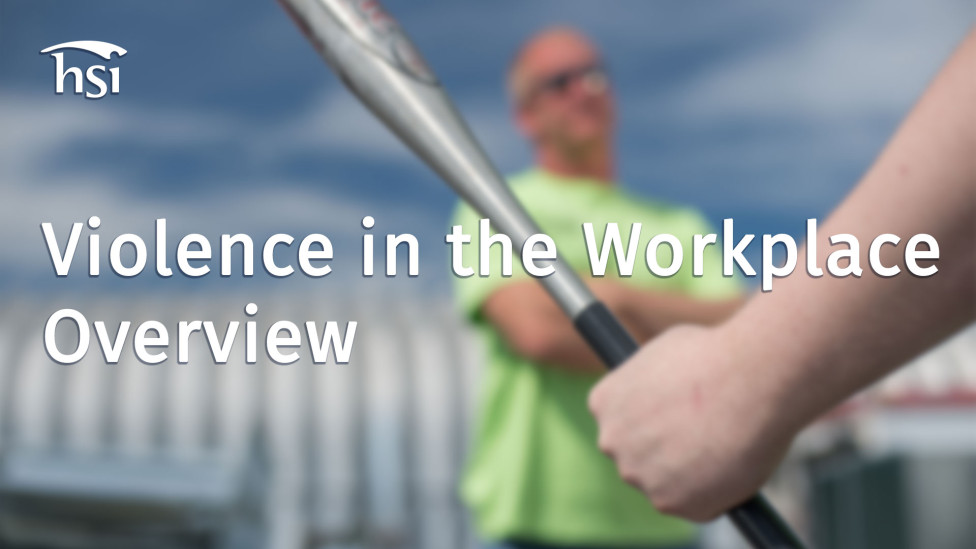 Violence in the Workplace Overview Violence in the Workplace Overview