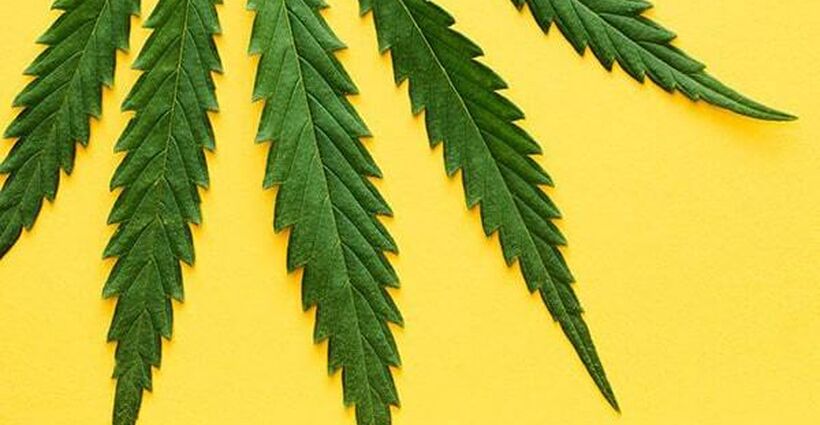 Marijuana in the Workplace: How to Craft an HR Policy That's Right for Your Company Marijuana in the Workplace: How to Craft an HR Policy That's Right for Your Company