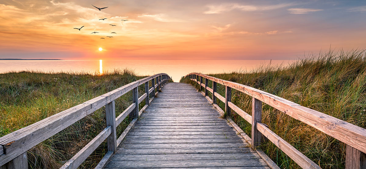 Pathway Pathway
