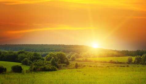 How Can Workplace Wellness Be Improved?