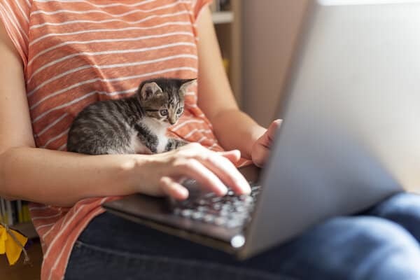 Professional Productivity Topic image HSI