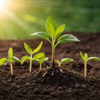 Today’s Workplace Learning and Development Forecast Today’s Workplace Learning and Development Forecast