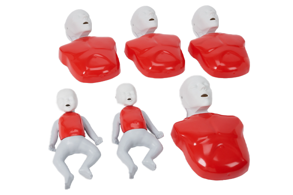 Basic Buddy Manikins Basic Buddy Manikins