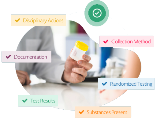HSI Full Circle Solutions