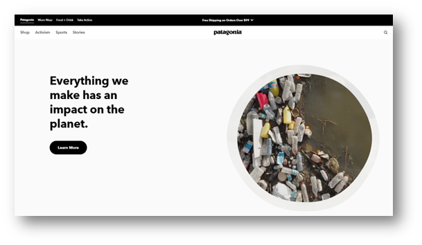 Patagonia Website